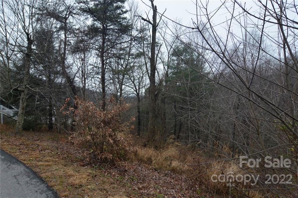 000 Curly Maple 1 Dr Unit 1  