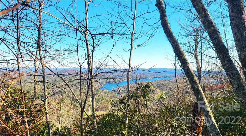 Mills Creek 100 Pt Unit 100  