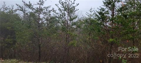 3916 Piney Rd, Morganton, NC 28655 photo 5