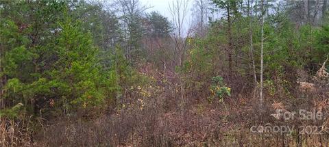 3916 Piney Rd, Morganton, NC 28655 photo 4