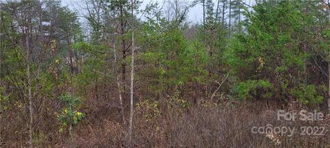 3916 Piney Rd, Morganton, NC 28655 photo 3