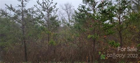 3916 Piney Rd, Morganton, NC 28655 photo 6