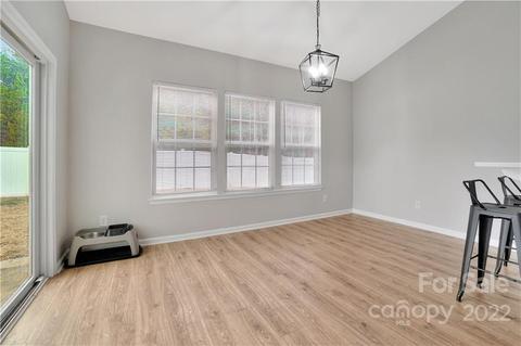 10916 Kingsview Dr, Davidson, NC 28036 photo 20