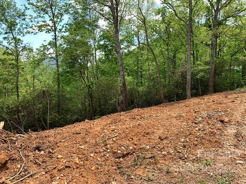2 Palmetto Rdg, Sylva, NC 28779