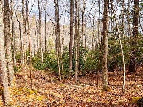 99999 Waldroup Rd, Hot Springs, NC 28743
