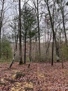 214 Ridge Point 10 Rd Unit 10  