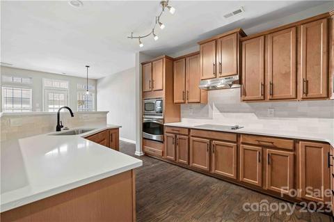 8343 Viewpoint Ln, Cornelius, NC 28031 photo 6