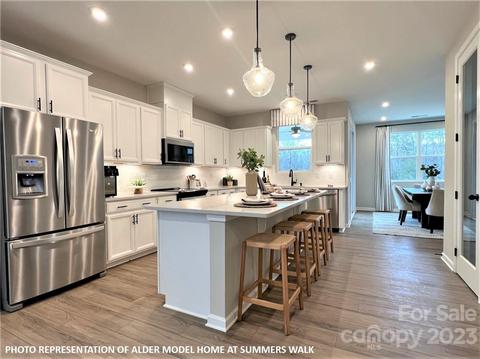16764 Summers Walk Blvd #13, Davidson, NC 28036
