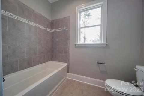 134 Arrow Point Ln, Davidson, NC 28036 photo 41