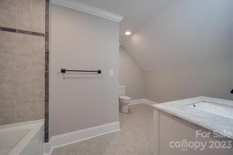 134 Arrow Point Ln, Davidson, NC 28036 photo 46