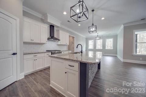 134 Arrow Point Ln, Davidson, NC 28036 photo 12