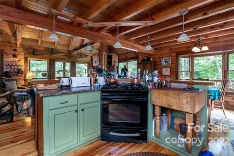 253 Springwater Dr, Brevard, NC 28712 photo 31