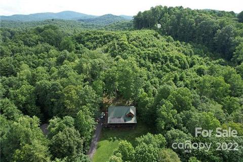 253 Springwater Dr, Brevard, NC 28712 photo 38