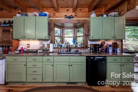 253 Springwater Dr, Brevard, NC 28712 photo 32