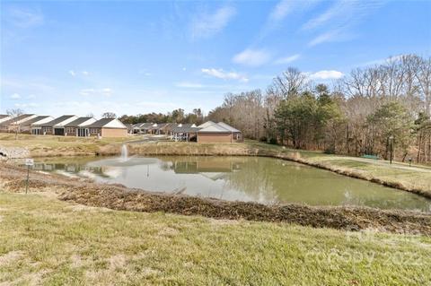 6288 Alyssum Pl, Denver, NC 28037 photo 31