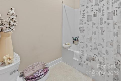 6288 Alyssum Pl, Denver, NC 28037 photo 14