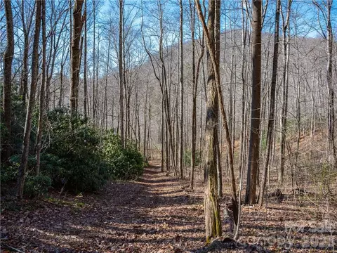 Long Branch Road, Swannanoa, NC 28778