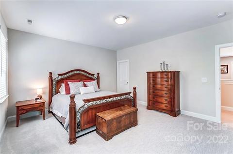 123 Riverstone Dr, Davidson, NC 28036 photo 33