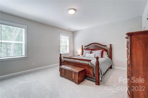 123 Riverstone Dr, Davidson, NC 28036 photo 32