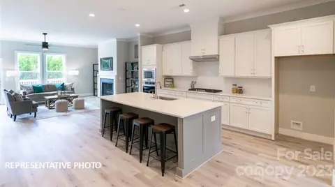 15148 Rocky Bluff 20 Loop #20, Davidson, NC 28036 photo 33