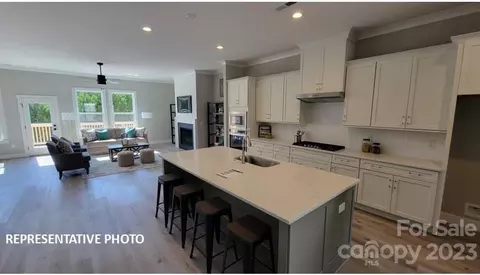 15148 Rocky Bluff 20 Loop #20, Davidson, NC 28036 photo 23