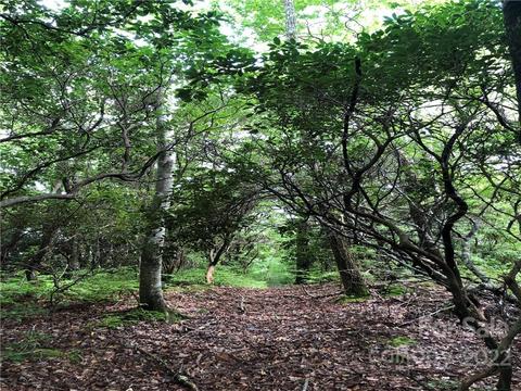 Little Elbow Mountain Road, Lake Toxaway, NC 28747