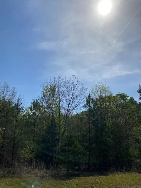 Double Eagle Lot 30 Ivb Drive LOT 30 IVB, Nebo, NC 28761