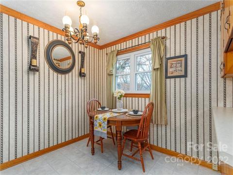 108 Lowe St, Canton, NC 28716 photo 11