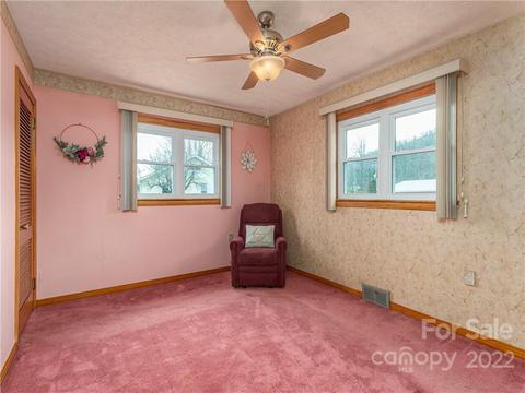 108 Lowe St, Canton, NC 28716 photo 14