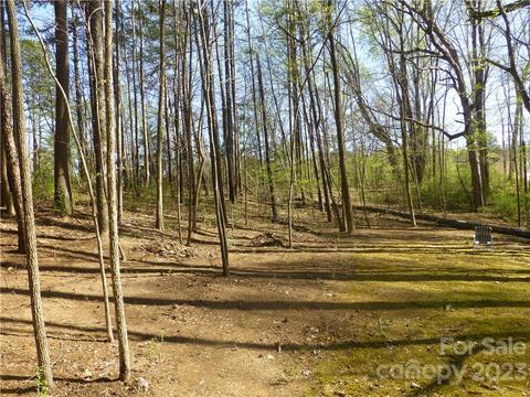 3561 Placid Dr, Davidson, NC 28036 photo 12