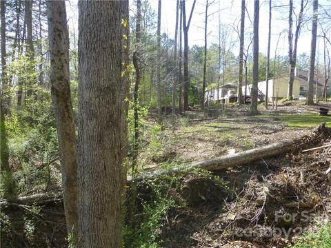 3561 Placid Dr, Davidson, NC 28036 photo 13