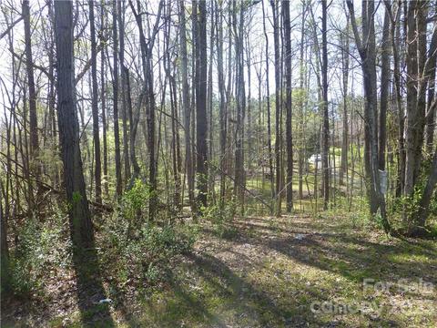 3561 Placid Dr, Davidson, NC 28036 photo 8