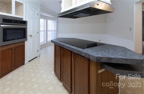 207 Old Lowesville Rd, Stanley, NC 28164 photo 14