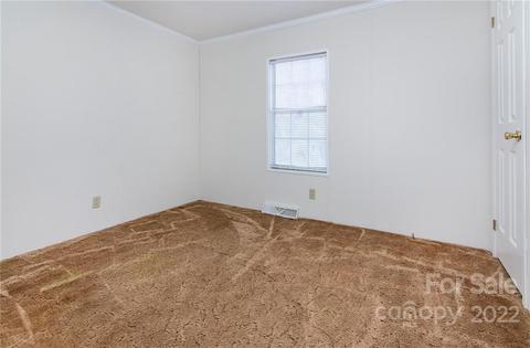 207 Old Lowesville Rd, Stanley, NC 28164 photo 20