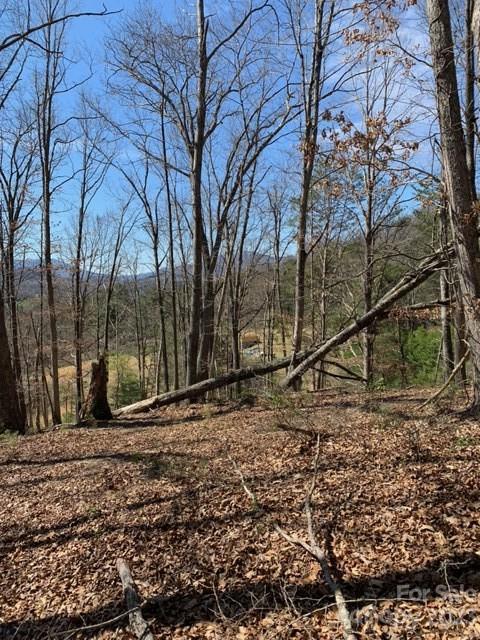500 Jilly Dr, Clyde, NC 28721 photo 4