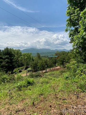 500 Jilly Dr, Clyde, NC 28721