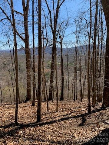 500 Jilly Dr, Clyde, NC 28721 photo 3