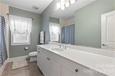 21907 Riddles Ct, Cornelius, NC 28031 photo 36