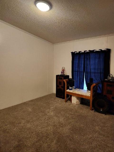438 David Ln, Wallace, SC 29596 photo 9