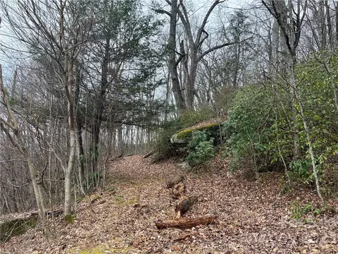 Grand Oaks Drive, Hendersonville, NC 28792