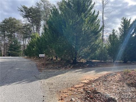 48 Brookside Dr, Columbus, NC 28722 photo 41