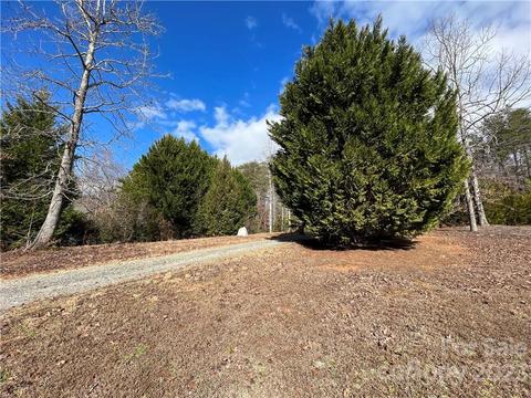48 Brookside Dr, Columbus, NC 28722 photo 34