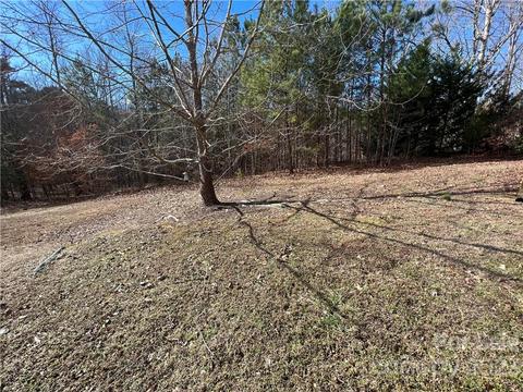 48 Brookside Dr, Columbus, NC 28722 photo 40