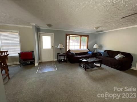 48 Brookside Dr, Columbus, NC 28722 photo 11