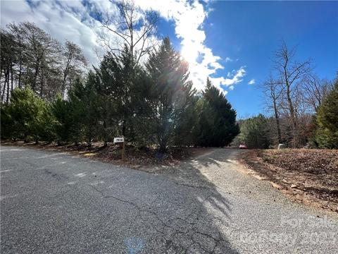 48 Brookside Dr, Columbus, NC 28722 photo 42