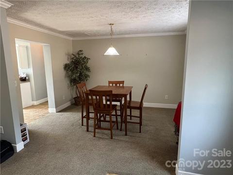 48 Brookside Dr, Columbus, NC 28722 photo 14