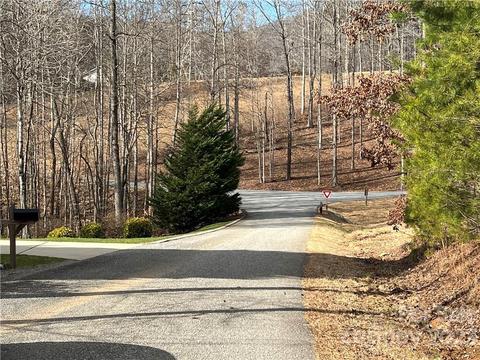 48 Brookside Dr, Columbus, NC 28722 photo 45