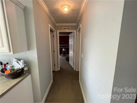 48 Brookside Dr, Columbus, NC 28722 photo 22