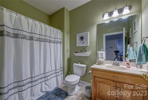 3876 Sage Ct, Denver, NC 28037 photo 25