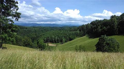 2243 Silver Mill Rd, Marshall, NC 28753